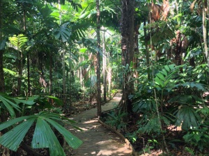 Wet Tropics