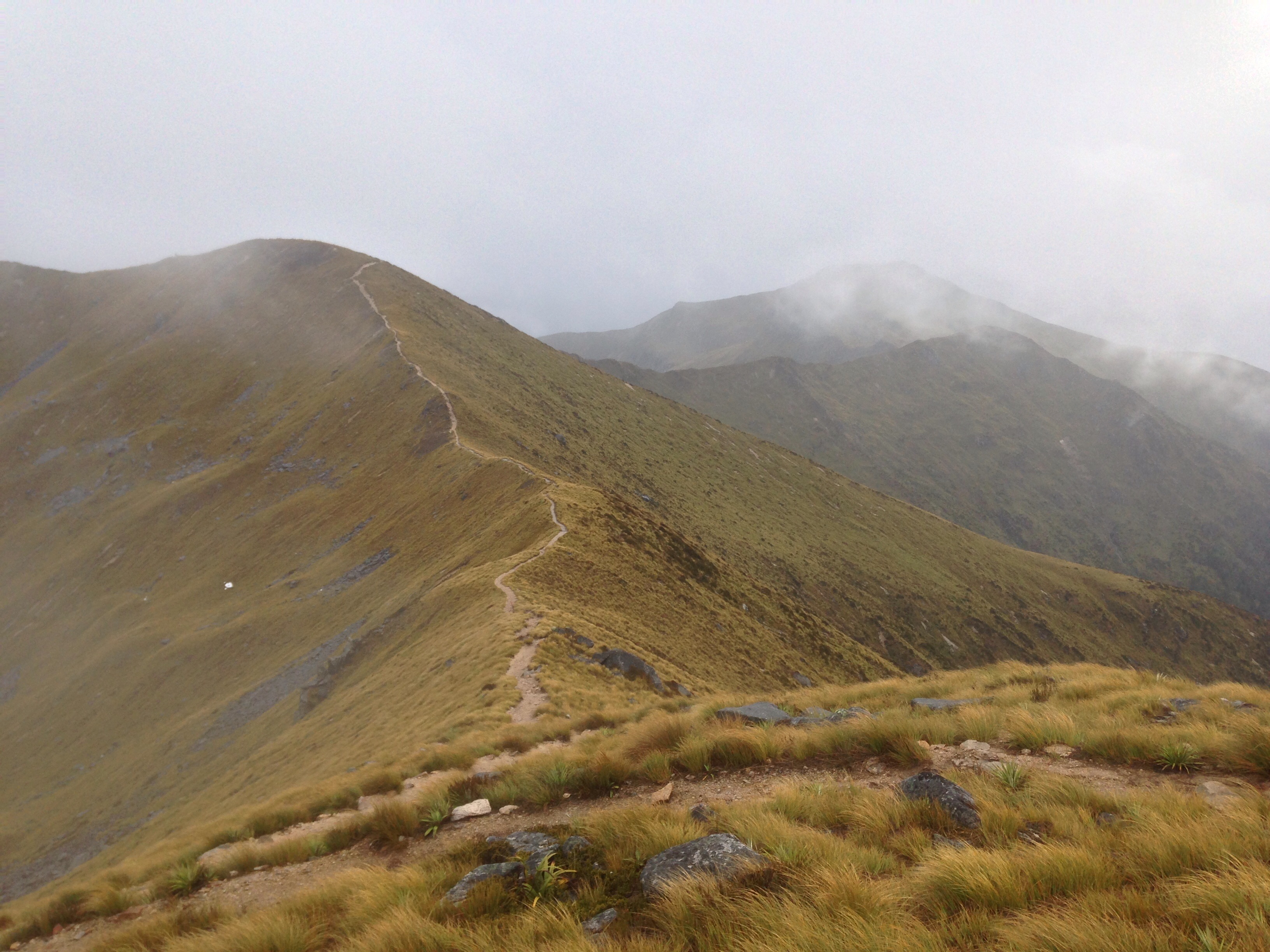 Kepler Track